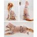 BT Bear Dog Raincoat with Legs Transparent Four-legs Large Dog Raincoats Waterproof with Reflective Strips & Hood Jumpsuit for Medium Dogs Large Dogs (7XL) - Buy Online on SooperMarket.com