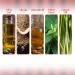 VLCC Shape Up Slimming Oil 200ml - Buy Online for Fast International Shipping | Effective Weight Loss Solution - Buy Online on SooperMarket.com