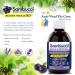 Sambucol Black Elderberry Anti-Viral Flu Care Syrup | Quickly Relieves Cold & Flu Symptoms | Immune Support & Antioxidant | Ideal for Families | 500 mL Anti-Viral Flu Care 500 ml (Pack of 1) - Buy Online on SooperMarket.com