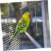 PRETYZOOM Bird Cage Cleaning Tool Bird Poop Cleaning Tools Jewelry Cleaning Kit Birds Brass Hamster 33X3X0.5CM As Shown - Buy Online on SooperMarket.com