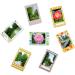 Colorful Bundle Set Accessories for Fujifilm Instax Mini Cameras - Film Sticker, Desk Frames, Hanging Frame, Strap - Buy Online on SooperMarket.com