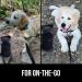 Gorilla Grip Portable Dog Water Bottle - Leak Proof 20oz Silicone Dispenser for Puppy Walks, Travel, Hiking - Keep Pets Hydrated on the Go - Black - Buy Online on SooperMarket.com