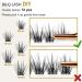 D-14mm B20 Cluster Lashes - 72 Natural D Curl Individual Lash Clusters for DIY Extensions | Soft Fluffy Eyelash Clusters for a Beautiful Look - Buy Online on SooperMarket.com