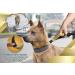 Premium 2-in-1 Jogging Leash & Normal Dog Leash for Medium & Large Dogs | Double Handle & Belly Belt for Jogging Hiking & Walking - Buy Online on SooperMarket.com