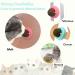 Xinstroe 4 Pack Catnip Balls Toys - Rotating Wall Catnip Balls for Engaging Cat Play | Shop Internationally - Buy Online on SooperMarket.com