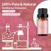 Peony Essential Oil 10ml - 100% Pure Organic Fragrance Oil for Aromatherapy, Diffuser, Candle Making, Soap Making - Brown Bottle - Pack of 1 - Buy Online on SooperMarket.com