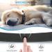 IP68 Waterproof Airtag Dog Collar - Durable & Reflective Apple Air Tag Holder for Medium Dogs - Black Large - Buy Online on SooperMarket.com