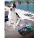 kemimoto Boat Caddy Organizer - Marine Cup Holder for Bass Boat, Kayak, Pontoon & Jon Boat - Fishing Cabin Storage - Universal Fit - 1 pc Black - Buy Online on SooperMarket.com