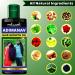 Herbal Hair Oil - Pure Adivasi Formula for Hair Growth & Fall Control | International Shipping - Buy Online on SooperMarket.com