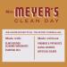MRS. MEYER'S CLEAN DAY All-Purpose Cleaner Spray - Apple Cider 16 Fl Oz | Eco-Friendly Natural Cleaning Solutions for Home - Buy Online on SooperMarket.com