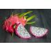 Exotic Dragon Fruit 2 Pieces 650 gm - Buy Online on SooperMarket.com