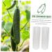 Milisten 10 Pcs Vegetable Shaping Fruit Cucumber Garden Vegetable Gourd Suite - Buy Online on SooperMarket.com