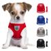 LOOK ANDE HOUSE CAULING Small dogs cat dishes with a leash reflective soft padded dog dishes air-mesh breast dishes for puppies Small dogs cats XS (chest: 24-27cm) red