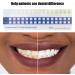 Professional Tooth Whitening Color Guide - 5-Part Comparison Card for Home & Dental Use - Buy Online on SooperMarket.com