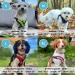 Gooby Choke Free Comfort X Step-In Dog Harness - Large Red (17-21) - Buy Online on SooperMarket.com