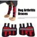 EVTSCAN 1 Pair Supportive Dog Leg Braces Reflective Designed Dog Front Leg Protector for Injury/Sprains/Instability/Anthritis(L-red) L Red - Buy Online on SooperMarket.com