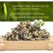 Oriarm Snail Jasmine Green Tea Loose Leaf 100g Tin Can - Chinese Fujian Green Jasmine Tea Yu Luo Snail Jasmine Tea - Buy Online on SooperMarket.com