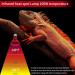 REPTI HOME Reptile Heat Lamp Bulb Infrared Heat Lamp for Reptile 100W 2Pack Basking Spot Red Heat Bulb for Lizards Turtles Chicks Puppies 100.0 Watts - Buy Online on SooperMarket.com