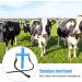 Livestock Mouth Opener Durable Livestock Gastric Lavage Equipment for Animal Husbandry (S) Small - Buy Online on SooperMarket.com