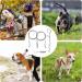 Dog Stake and Tie Out Cable Heavy Duty Stainless Steel Spiral Ground Spike Stake 2 PCS Outdoor Dog Camping Tie Out Lead Leash with & Whistle for Dog Playing Camping and Backyard in Ground - Buy Online on SooperMarket.com