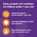 IAMS Perfect Portions Healthy Kitten Wet & Dry Cat Food Bundle Cat Food + Cat Food with Chicken Chicken - Kitten 75 g (Pack of 24) - Buy Online on SooperMarket.com
