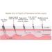 0.75mm Derma Roller for Hair Growth Women and Men Scalp Dermaroller for Skin Care Skin Rejuvenation Scar Removal 540 Titanium Microneedling Face Toning Device for Skin (DERMA 0.75 MM) - Buy Online on SooperMarket.com