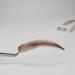 Ey brows 100% real hair to stick on handmade eyebrow wigs false eyebrows eyebrows stickers replacement-eyes brows fake eyebrows (M2-6R)