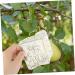 Mipcase 2pcs Square Apple Molds Fruit Vegetable Molds for Gardening Melon Stereotypes Plastic - Buy Online on SooperMarket.com