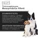 Chewies Training Swap Horse - Monoprotein Dog Snack - 300g Cereal & Sugar-Free - Soft Hypoallergenic Treats for Training - Buy Online on SooperMarket.com