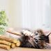 Meowijuana King Size Silvervine Sticks Bundle - Natural Matatabi Chew for Cats | High Potency Cat Treat | Dental Health | Catnip Alternative - Buy Online on SooperMarket.com