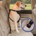 Adjustable Dog Car Seat Belt Harness Pet Safety Belt with Elastic Strap Dog Car Harness for Travel Black 20in-29in long - Buy Online on SooperMarket.com