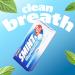 Smint Sugar Free Mints 2 Hour Clean Breath 50 XXL Peppermint Flavour - 12 Tins - Buy Online on SooperMarket.com