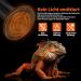 Lucky Herp 2 Pack 75W Reptile Ceramic Heat Lamp - Ideal Terrarium Light for Turtles Chickens Dogs & Cats (E27 220V-240V) - Buy Online on SooperMarket.com