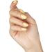 Bluesky Gel Nail Polish Primrose Yellow 80566 Light Primrose Yellow Long Lasting Chip Resistant 10 ml (Requires Drying Under UV LED Lamp) Primrose Yellow 10 ml (Pack of 1) - Buy Online on SooperMarket.com