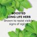 bareMinerals Skinlongevity Long Life Herb Serum 50 mL - 1.7 Fl Oz (Pack of 1) | Powerful Anti-Aging Serum - Buy Online on SooperMarket.com