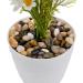Hisredsun 2.1 lb Natural Polished Pebbles - 0.4-1 inch Decorative Stones for Garden, Aquarium and Vase Fillers - 0.95kg Multi-Use River Rocks - Buy Online on SooperMarket.com