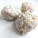 Natural Crystal Rough 1pcs Agate Irregular Geode Agate Crystals Complete Hollow Stone Specimen White Crystal Cavity Fun Cutting Stone Crafts (Color : 2-4cm) - Buy Online on SooperMarket.com