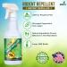 16oz Spritz Rodent Repellent with Peppermint Oil - USA Made Non-Toxic Solution for mice, Rats, Raccoons, Ants and More - 1 Count Pack - Buy Online on SooperMarket.com