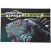 TNFEON CRAWL PET UV Test Card - Reusable UVB Sensor for Quick Measurements | Ideal for Reptiles & UVA/UVB Light Lamps - Buy Online on SooperMarket.com