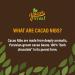 YaconViva! Organic Cacao Nibs Sweetened with Organic Yacon Syrup 300g | 100% Natural Peruvian Superfood | High in Fibre | Low Carb Gut Health | Source of Magnesium & Potassium - Buy Online on SooperMarket.com