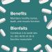 Webber Naturals Calcium with Magnesium and Vitamin D3 200 Caplets Enhanced Absorption Helps Support Bones and Teeth Vegetarian - Buy Online on SooperMarket.com