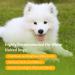 Nobleza Dog Shampoo for White Fur - Optimal Care for Maltese Havanese & Bichon - 250ml - Buy Online on SooperMarket.com
