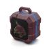 SOAR NCAA Shockbox LED Wireless Bluetooth Speaker Texas State Bobcats Team Color