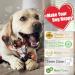 Zinbo Indestructible Dog Toys for Aggressive Chewers - Dark Brown, Medium/Large Breed - Buy Online on SooperMarket.com