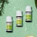 Buy Pranarom Clove Bud Essential Oil 5ml - Natural Aroma & Wellness - Buy Online on SooperMarket.com