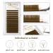 QUEWEL Easy Fan Brown Volume Lash Extensions 0.07 D 9-16mm | Self Fanning 2D-10D Volume Eyelash Extensions - Buy Online on SooperMarket.com