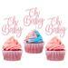 Rsstarxi 24 Pack Oh Baby Cupcake Toppers Glitter Baby Baptism Cupcake Picks Baby Shower Cake Decorations for Gender Reveal Birthday Party Decorations Pink Style 2 Pink