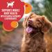 IAMS Proactive Health Adult Dry Dog Food + IAMS Puppy Dry Dog Food Chicken and Whole Grains Bundle 13.6 kg Dog Food + Dog Food 6.80kg - Buy Online on SooperMarket.com