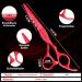 Purple Dragon 5.5 Inch Hairdressing Scissors Set (Red) 5 5" Red - Buy Online on SooperMarket.com