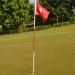 Boshen Golf Flagstick Practice Set for Backyard Putting Green - 1 Set/2 Set Hole Cup Flags - Buy Online on SooperMarket.com